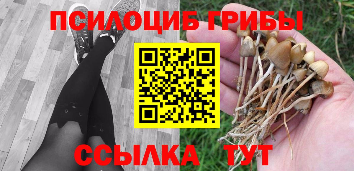 Псилоцибиновые грибы MAGIC MUSHROOMS Кунгур